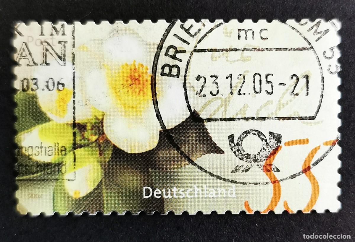 Sellos: Sello Alemania R.Federal 2004, Camellia yannanensis, 55 ct Michel: DE 2414