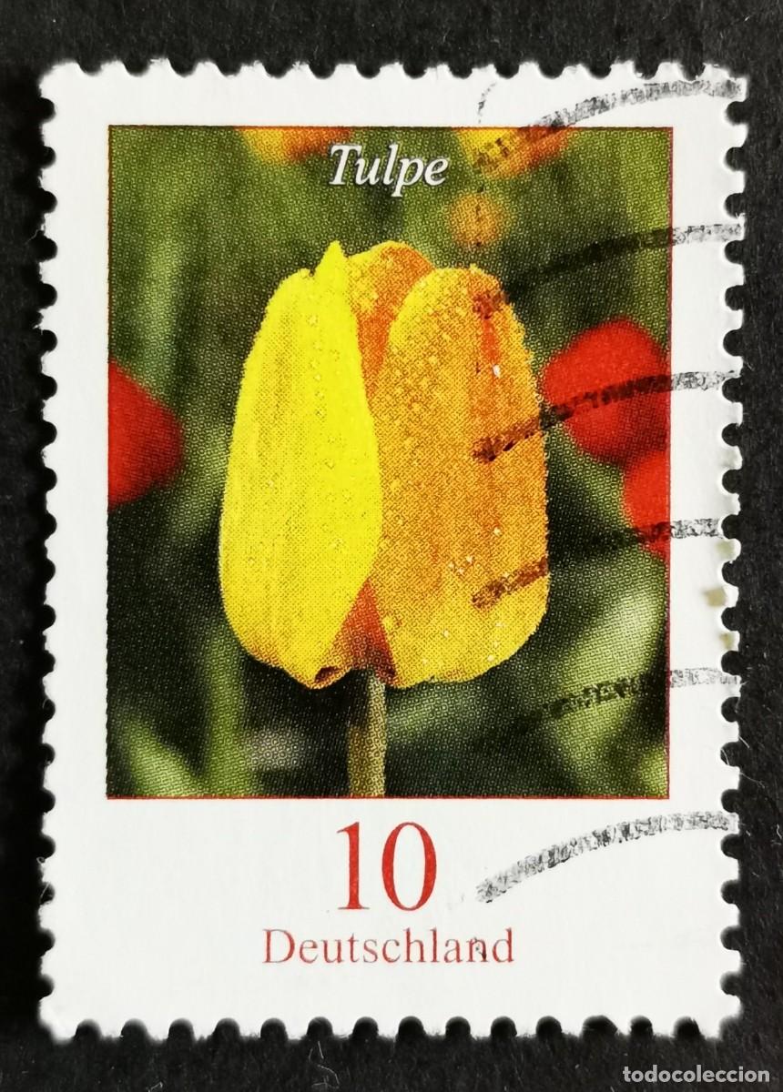 Sellos: Sello Alemania R.Federal 2005, Flores definitivas: Tulip&aacute;n, 10 ct Michel: DE 2484A