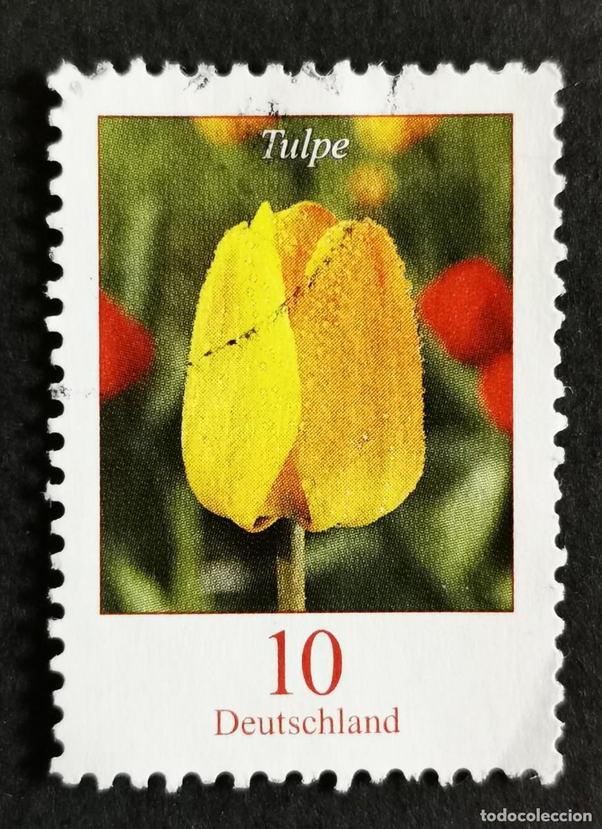 Sellos: Sello Alemania R.Federal 2005, Flores definitivas: Tulip&aacute;n, 10 ct Michel: DE 2484A