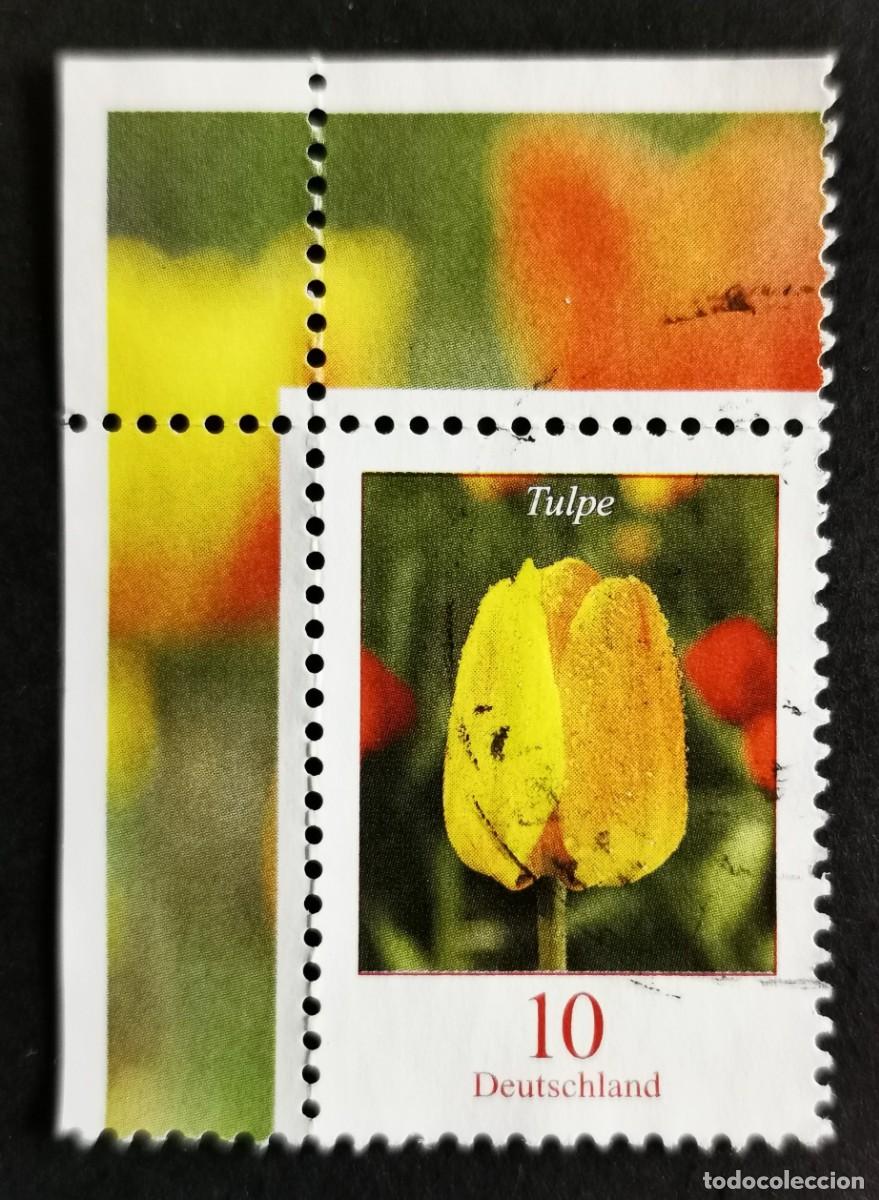 Sellos: Sello Alemania R.Federal 2005, Flores definitivas: Tulip&aacute;n, 10 ct Michel: DE 2484A