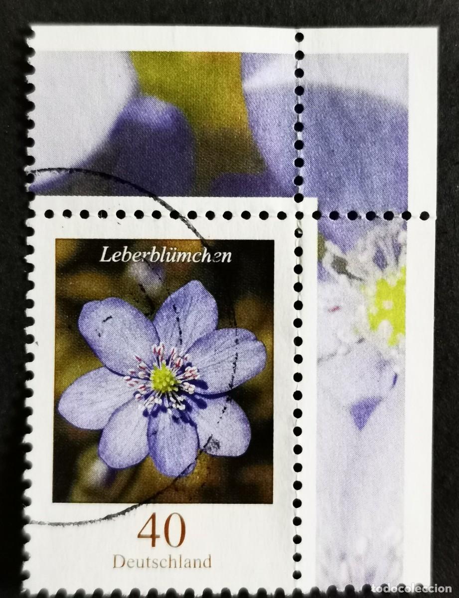 Sellos: Sello Alemania R.Federal 2005, Flores definitivas: Leberbl&uuml;mchen, 40 ct Michel: DE 2485A