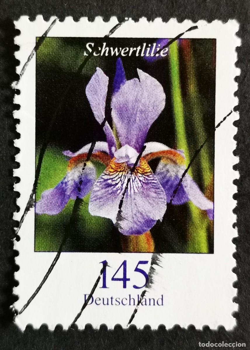 Sellos: Sello Alemania R.Federal 2006, Flores definitivas: Lirio espada , 145 ct Michel: DE 2507