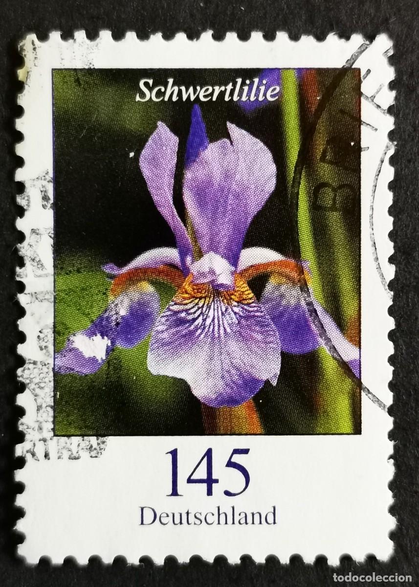 Sellos: Sello Alemania R.Federal 2006, Flores definitivas: Lirio espada , 145 ct Michel: DE 2507