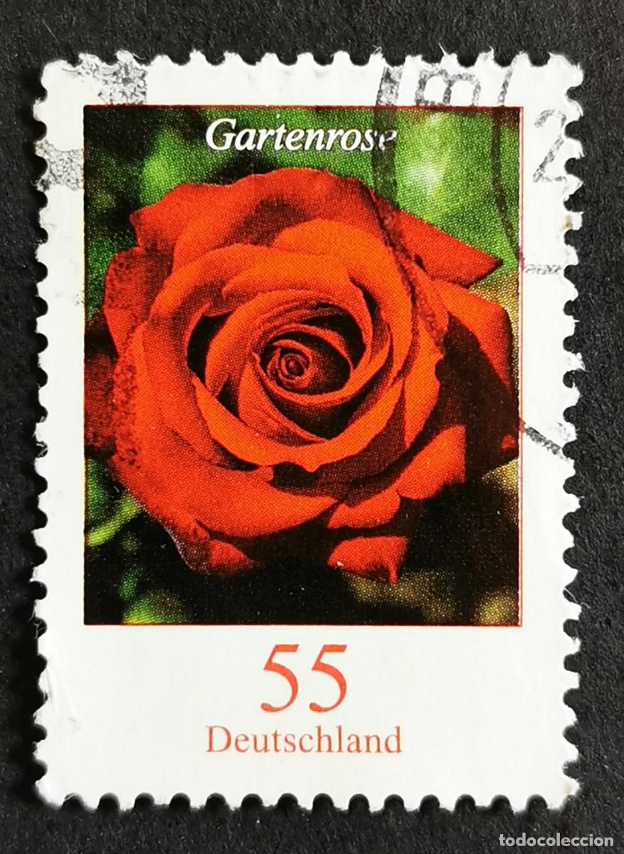 Sellos: Sello Alemania R.Federal 2008, Flores definitivas: Rosa, 55 ct Michel: DE 2669