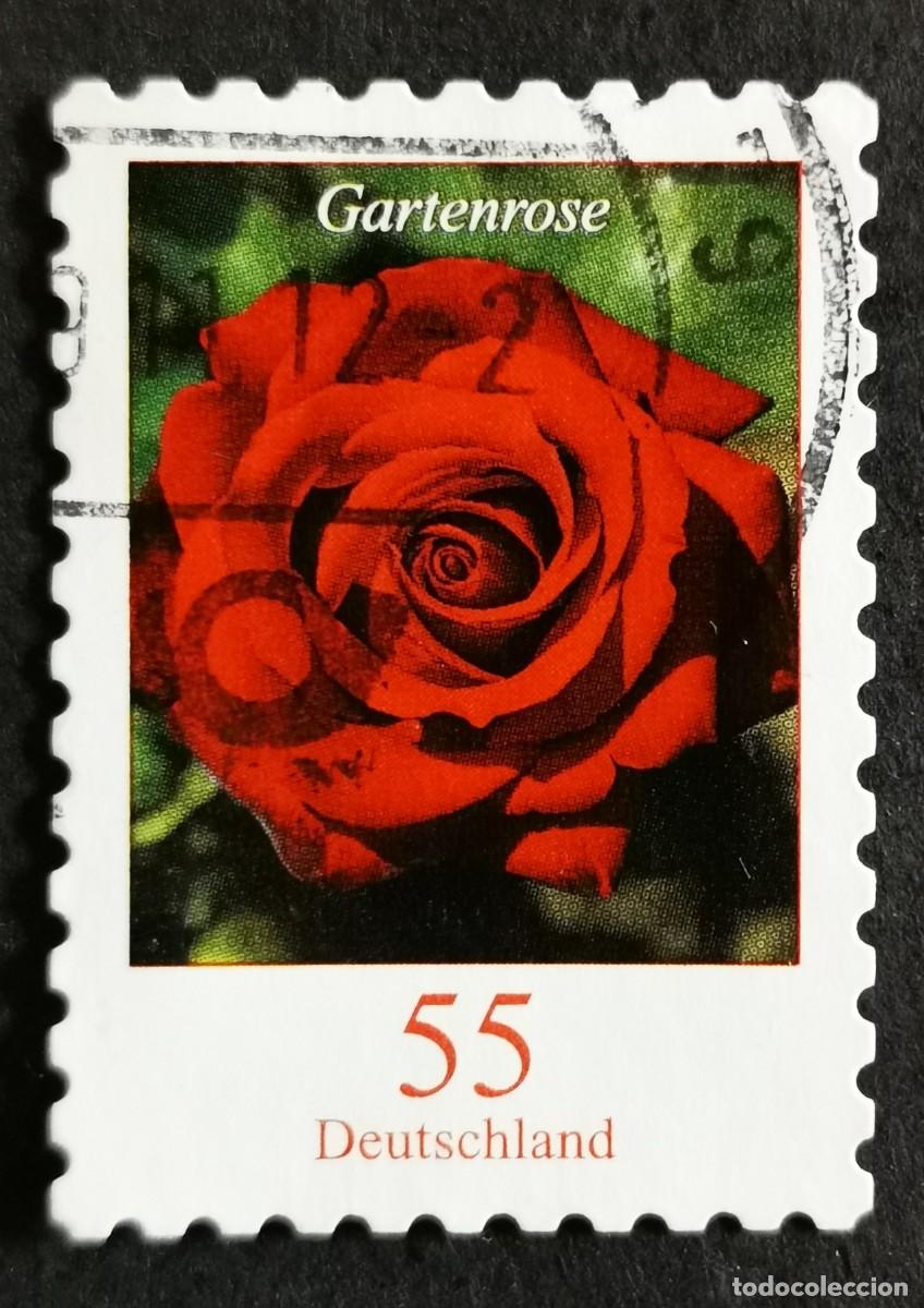 Sellos: Sello Alemania R.Federal 2008, Flores definitivas: Rosa, 55 ct Michel: DE 2675