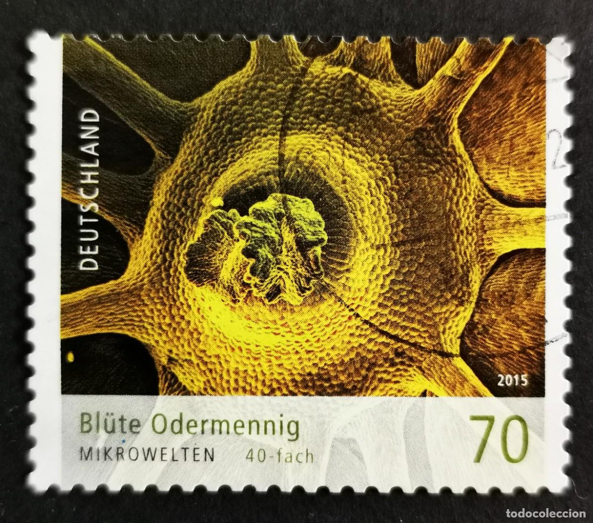 Sellos: Sello Alemania R.Federal 2015, Microorganismo, 70 ct Michel: DE 3193