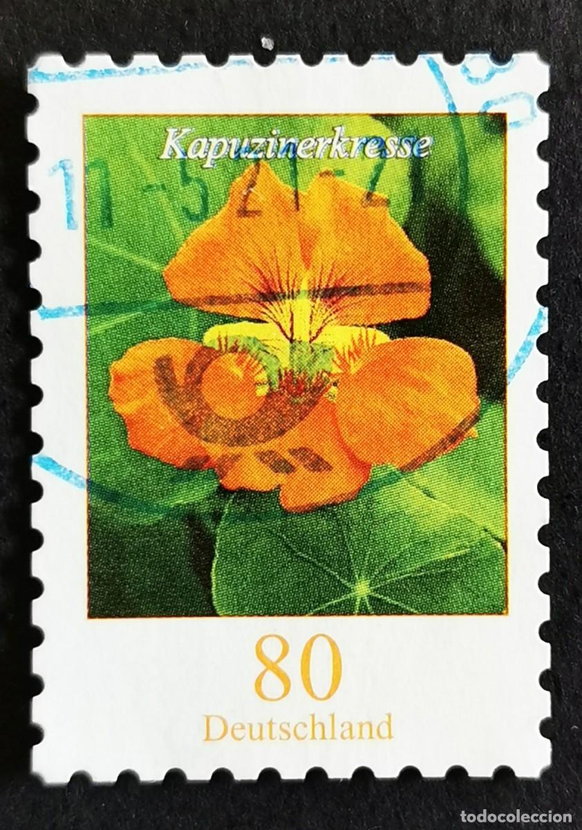 Sellos: Sello Alemania R.Federal 2019, Flores definitivas: Capuchina , 80 ct Michel: DE 3482