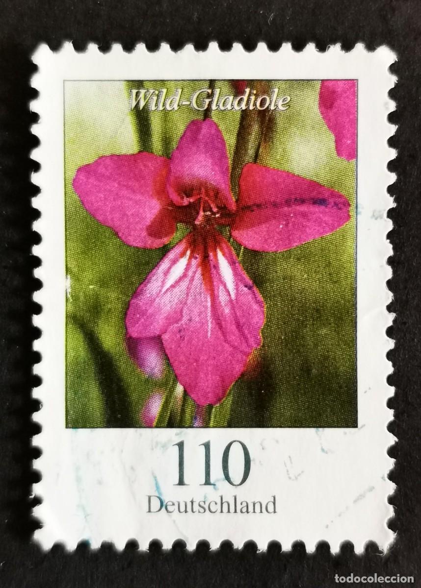 Sellos: Sello Alemania R.Federal 2019, Flores definitivas: Gladiolo silvestre, 110 ct Michel: DE 3471