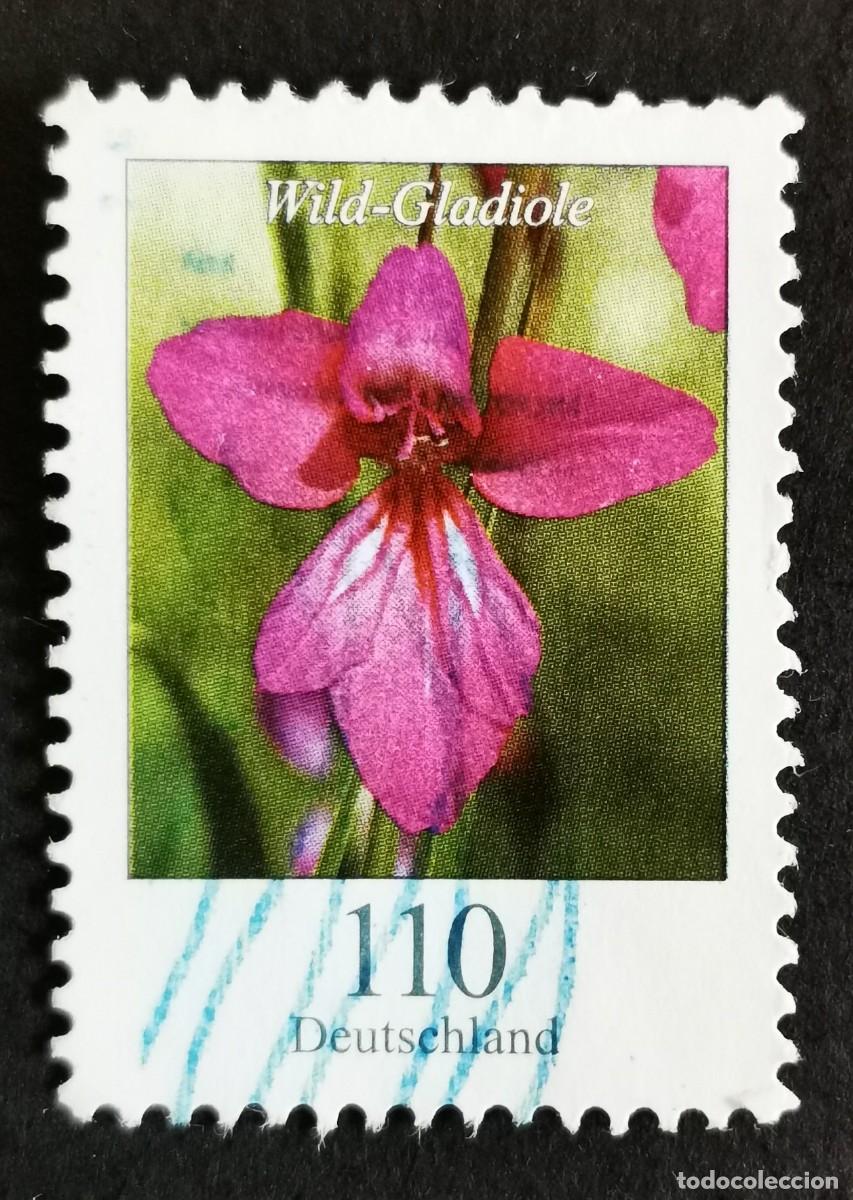 Sellos: Sello Alemania R.Federal 2019, Flores definitivas: Gladiolo silvestre, 110 ct Michel: DE 3471