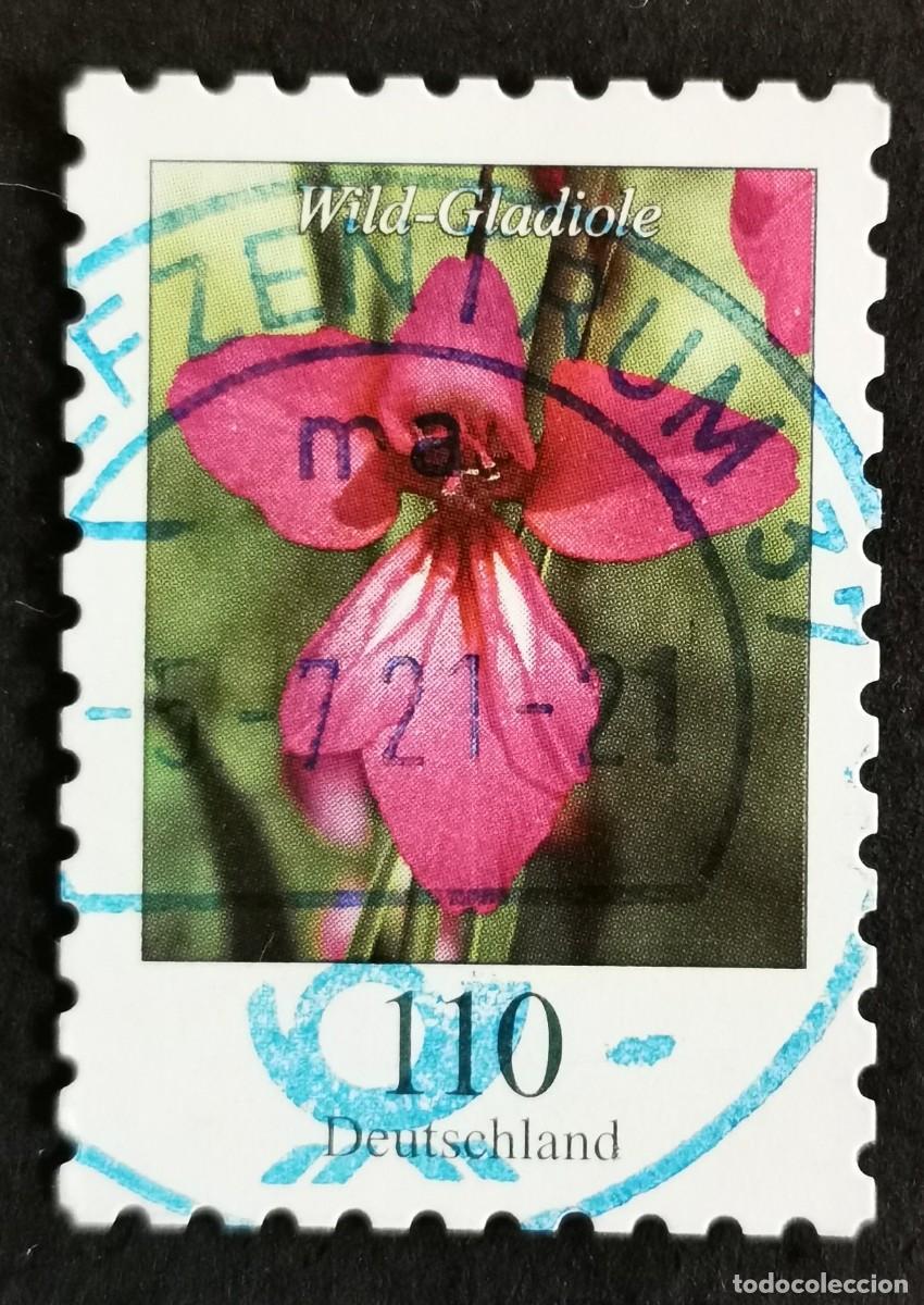Sellos: Sello Alemania R.Federal 2019, Flores definitivas: Gladiolo silvestre, 110 ct Michel: DE 3489