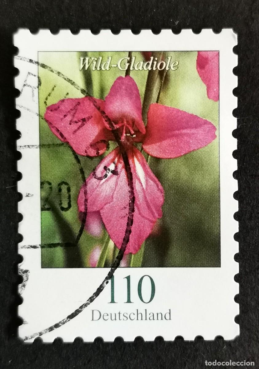 Sellos: Sello Alemania R.Federal 2019, Flores definitivas: Gladiolo silvestre, 110 ct Michel: DE 3489