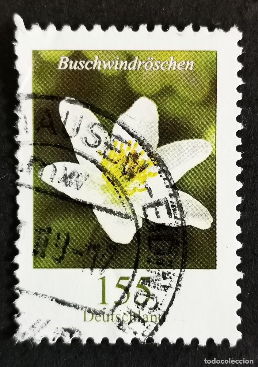 Sellos: Sello Alemania R.Federal 2019, Flores definitivas: An&eacute;mona de madera, 155 ct Michel: DE 3472