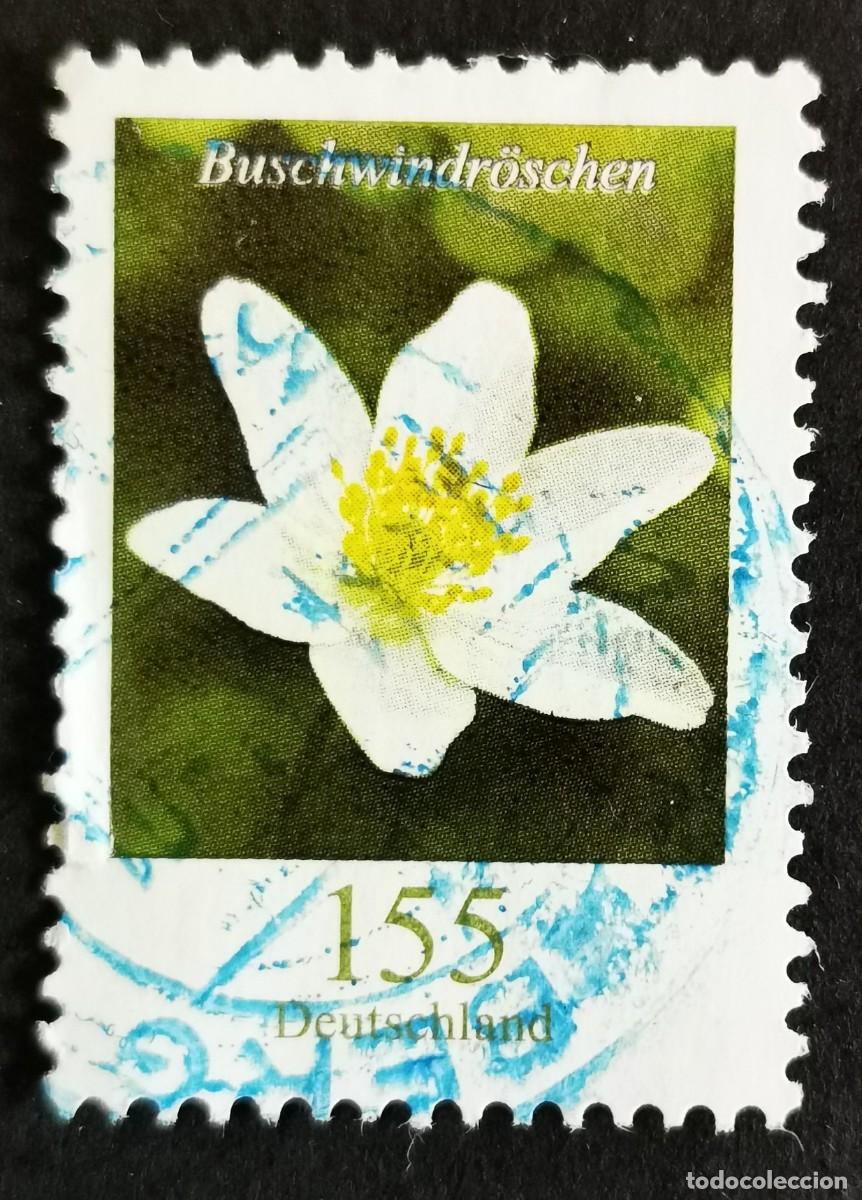 Sellos: Sello Alemania R.Federal 2019, Flores definitivas: An&eacute;mona de madera, 155 ct Michel: DE 3472
