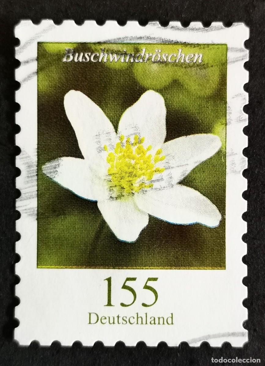 Sellos: Sello Alemania R.Federal 2019, Flores definitivas: An&eacute;mona de madera, 155 ct Michel: DE 3484