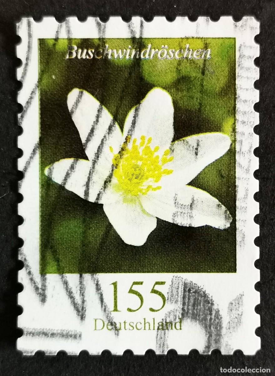 Sellos: Sello Alemania R.Federal 2019, Flores definitivas: An&eacute;mona de madera, 155 ct Michel: DE 3484
