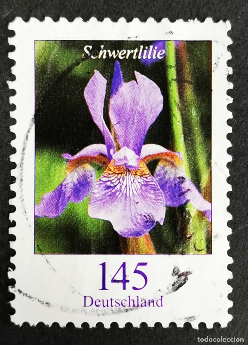 Sellos: Sello Alemania R.Federal 2006, Flores definitivas: Lirio espada , 145 ct Michel: DE 2507