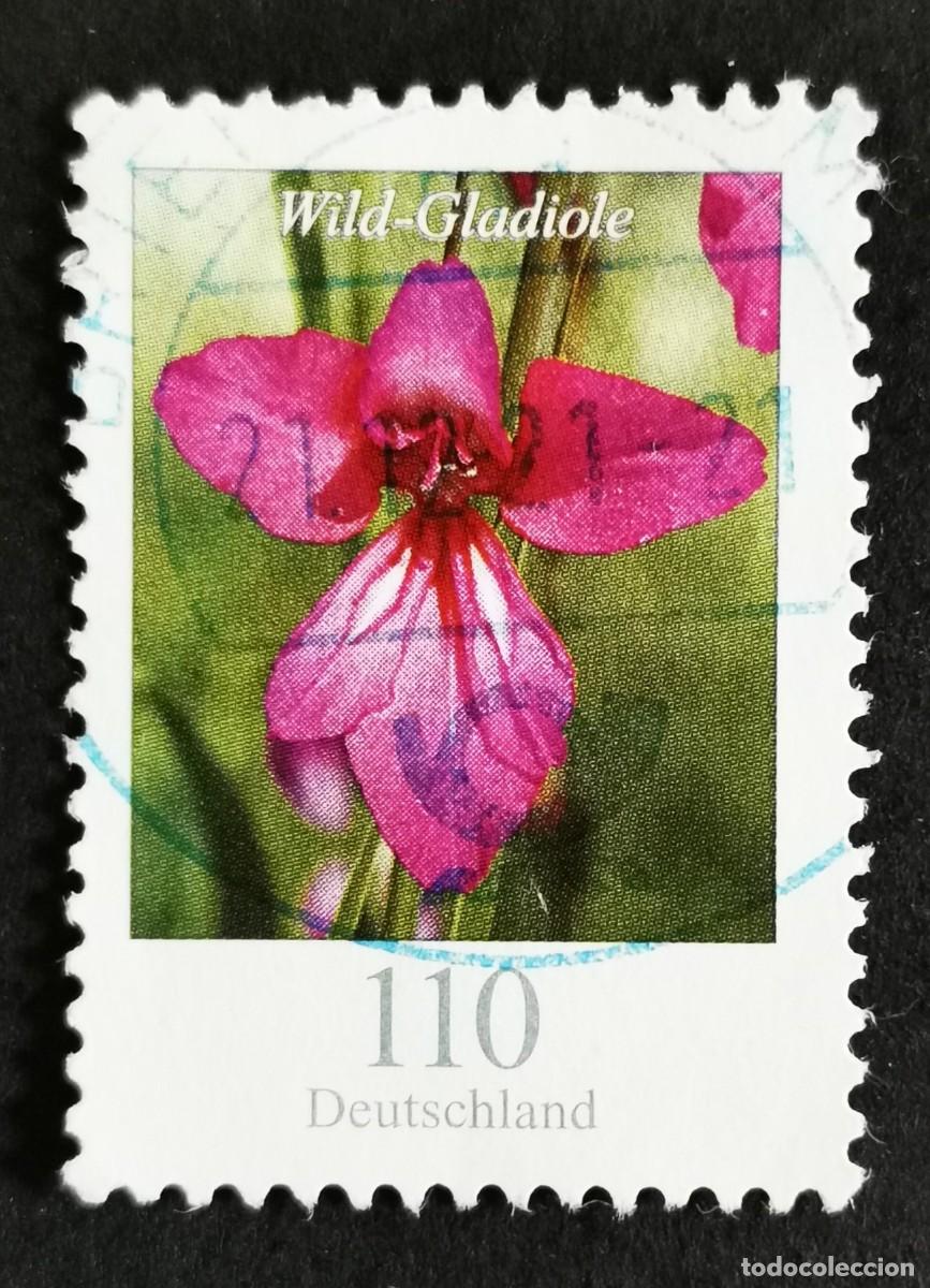 Sellos: Sello Alemania R.Federal 2019, Flores definitivas: Gladiolo silvestre, 110 ct Michel: DE 3471