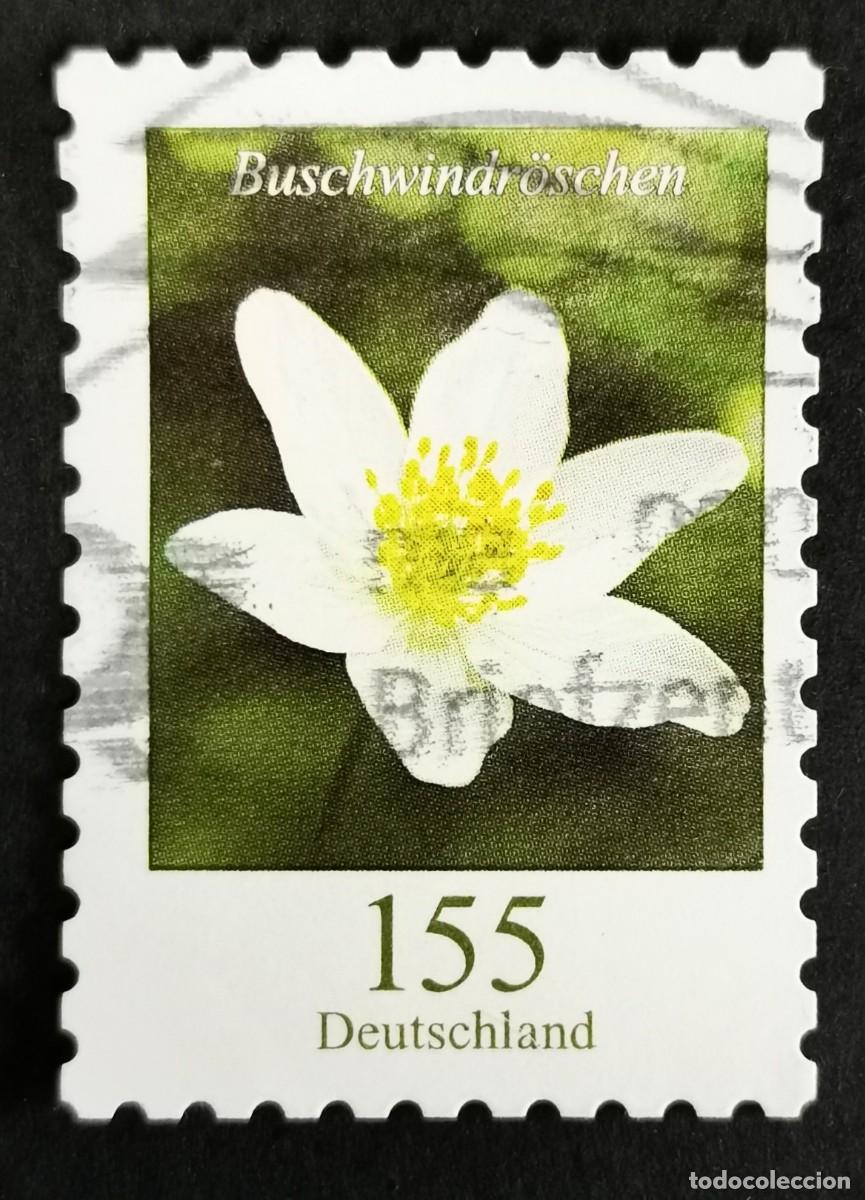 Sellos: Sello Alemania R.Federal 2019, Flores definitivas: An&eacute;mona de madera, 155 ct Michel: DE 3484