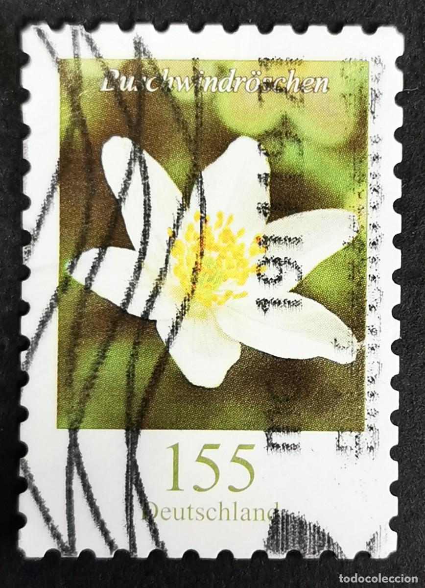 Sellos: Sello Alemania R.Federal 2019, Flores definitivas: An&eacute;mona de madera, 155 ct Michel: DE 3484