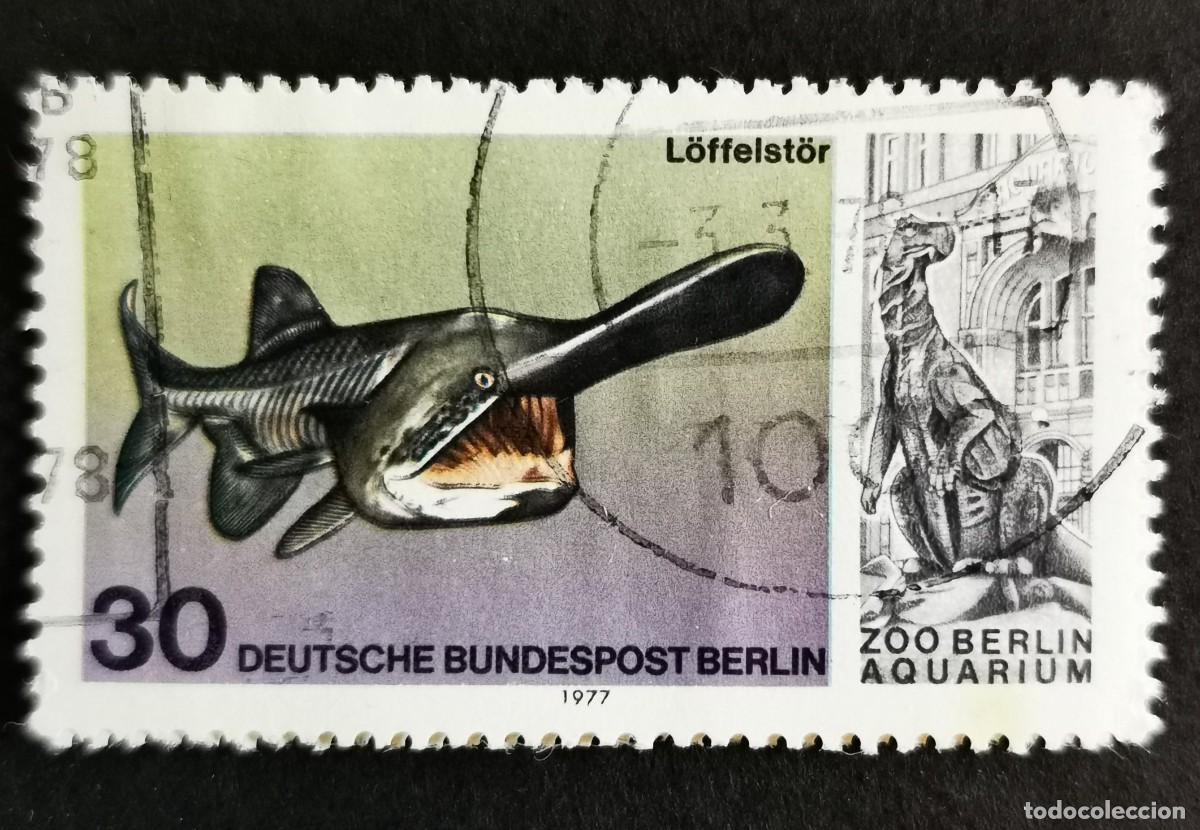 Sellos: Sello Alemania Berl&iacute;n 1977, Pez esp&aacute;tula americano, 30 Pf. Michel: DE-BE 553