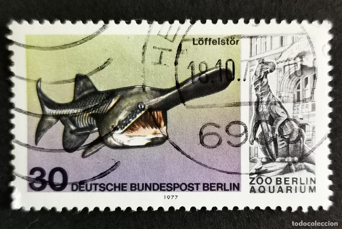 Sellos: Sello Alemania Berl&iacute;n 1977, Pez esp&aacute;tula americano, 30 Pf. Michel: DE-BE 553
