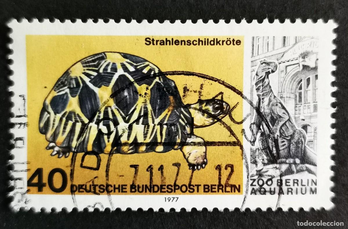 Sellos: Sello Alemania Berl&iacute;n 1977, Tortuga radiada , 40 Pf. Michel: DE-BE 554