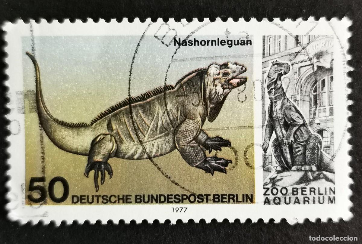Sellos: Sello Alemania Berl&iacute;n 1977, Iguana rinoceronte , 50 Pf. Michel: DE-BE 555