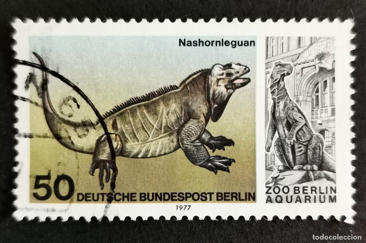 Sellos: Sello Alemania Berl&iacute;n 1977, Iguana rinoceronte , 50 Pf. Michel: DE-BE 555