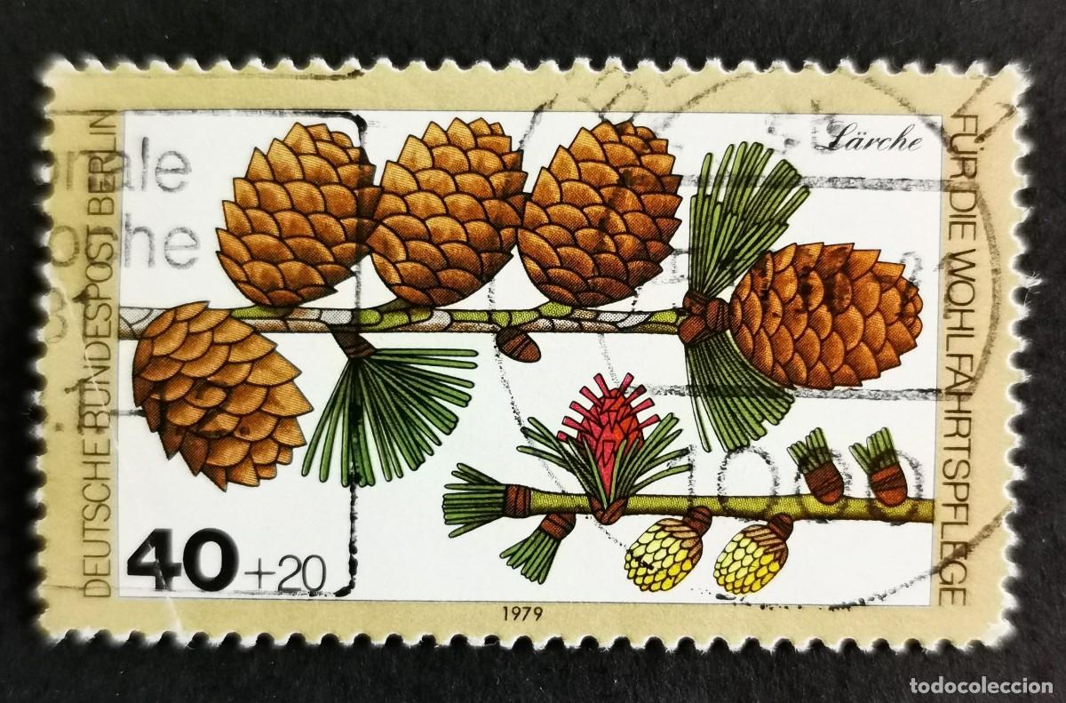 Sellos: Sello Alemania Berl&iacute;n 1979, Alerce, 40+20 Pf. Michel: DE-BE 607