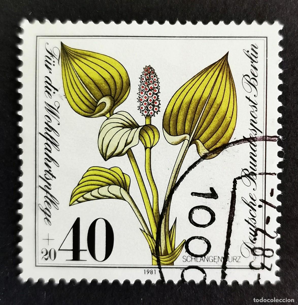 Sellos: Sello Alemania Berl&iacute;n 1981, Bistort com&uacute;n (Calla palustris), 40 Pf. Michel: DE-BE 650