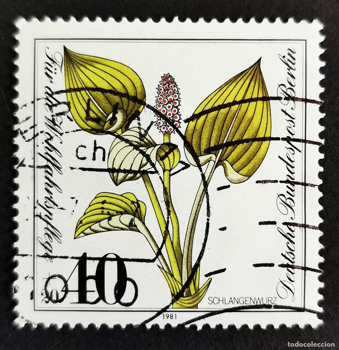 Sellos: Sello Alemania Berl&iacute;n 1981, Bistort com&uacute;n (Calla palustris), 40 Pf. Michel: DE-BE 650
