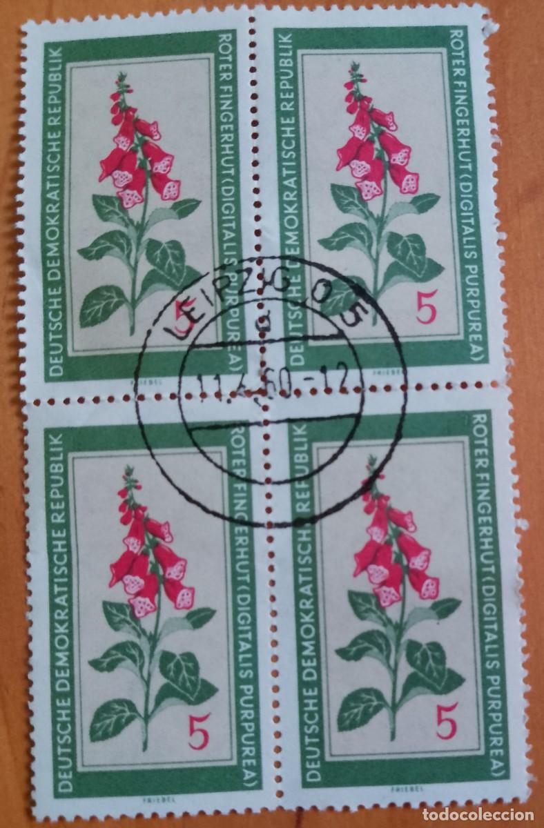 Sellos: ALEMANIA, DDR - V/F 5 - TIRA 4 SELLOS, FLORA, FLOR, ROTER FINGERHUT - VER DESCRIPCI&Oacute;N