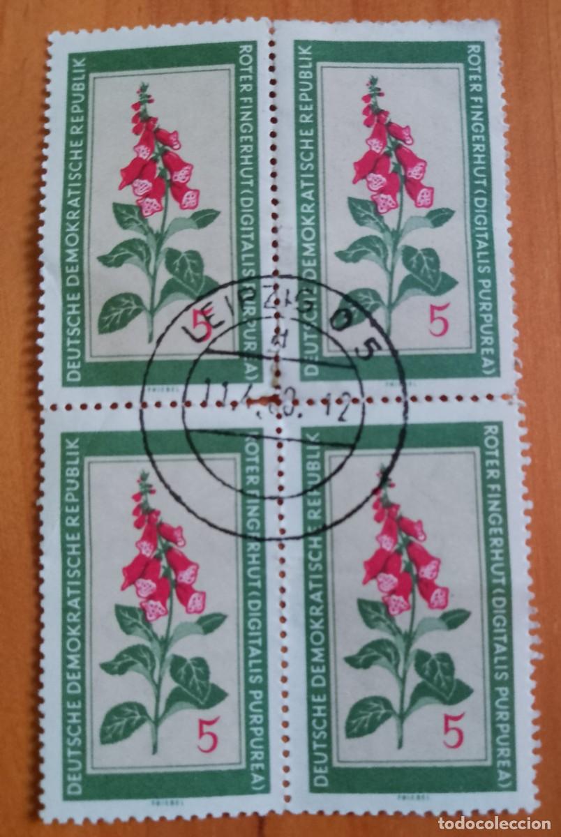 Sellos: ALEMANIA, DDR - V/F 5 - TIRA 4 SELLOS, FLORA, FLOR, ROTER FINGERHUT - VER DESCRIPCI&Oacute;N