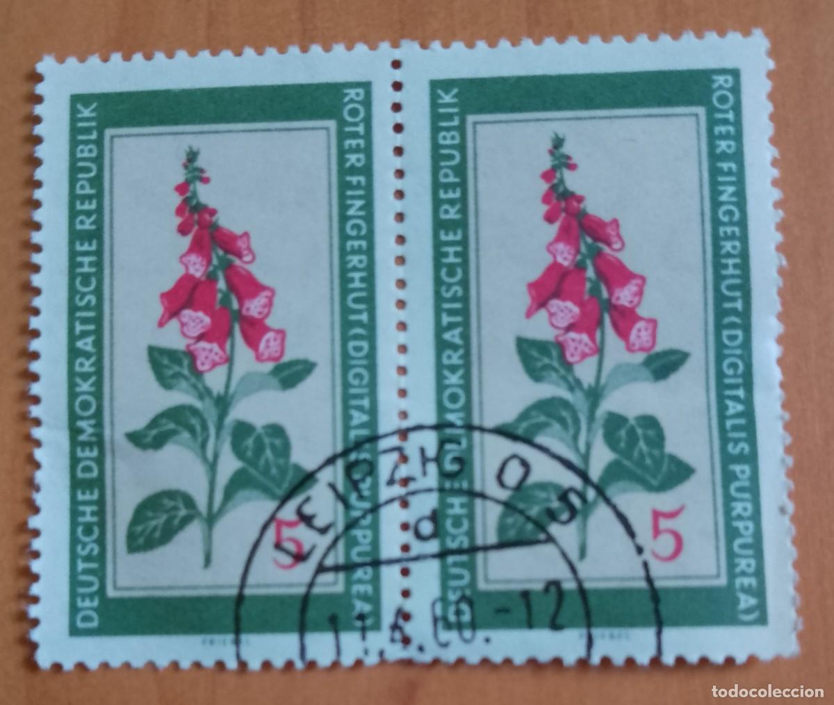 Sellos: ALEMANIA, DDR - V/F 5 - TIRA 2 SELLOS, FLORA, FLOR, ROTER FINGERHUT - VER DESCRIPCI&Oacute;N