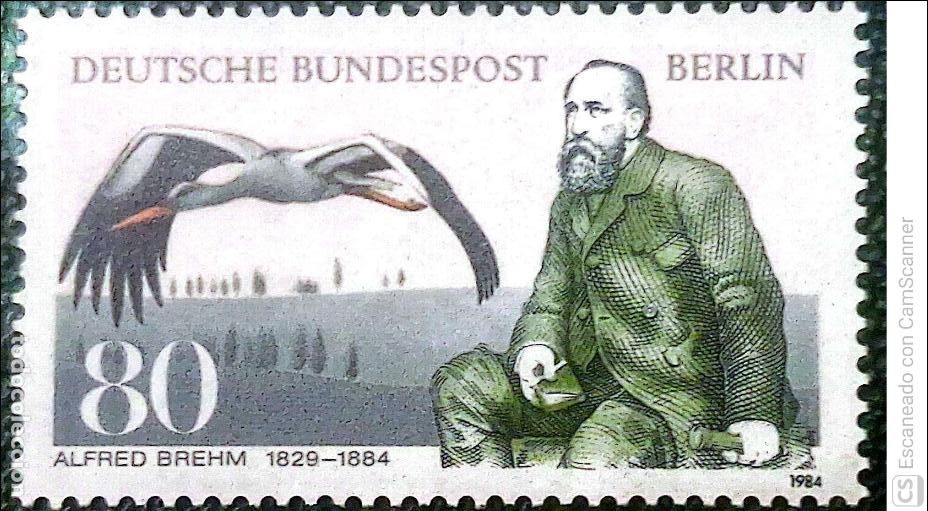 Sellos: Berl&iacute;n. 683 Ornit&oacute;logo Alfred Edmund Brehm. Cig&uuml;e&ntilde;a. 1984. Sellos nuevos y numeraci&oacute;n Yvert.