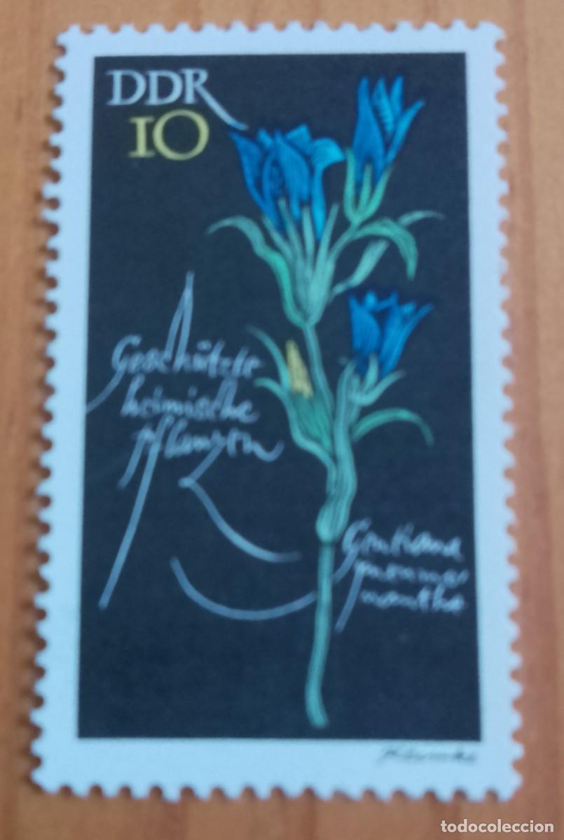 Sellos: ALEMANIA, DDR - V/F 10 - FLORA, FLOR, GENTIANA, GENCIANA AZUL - VER DESCRIPCI&Oacute;N