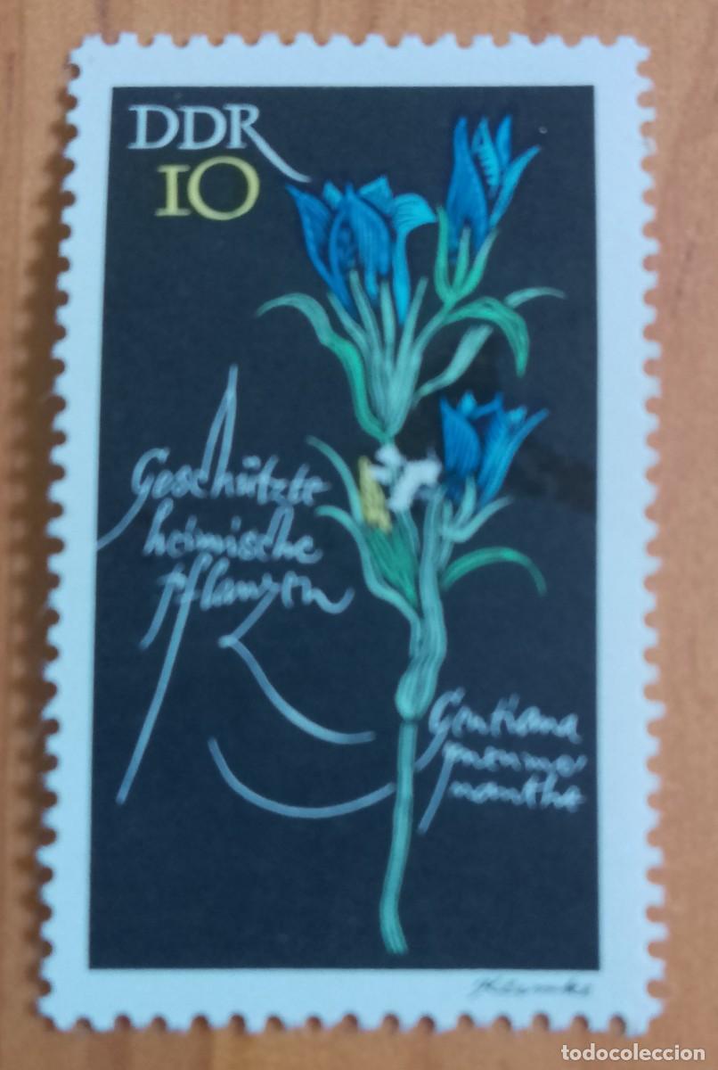 Sellos: ALEMANIA, DDR - V/F 10 - FLORA, FLOR, GENTIANA, GENCIANA AZUL - VER DESCRIPCI&Oacute;N