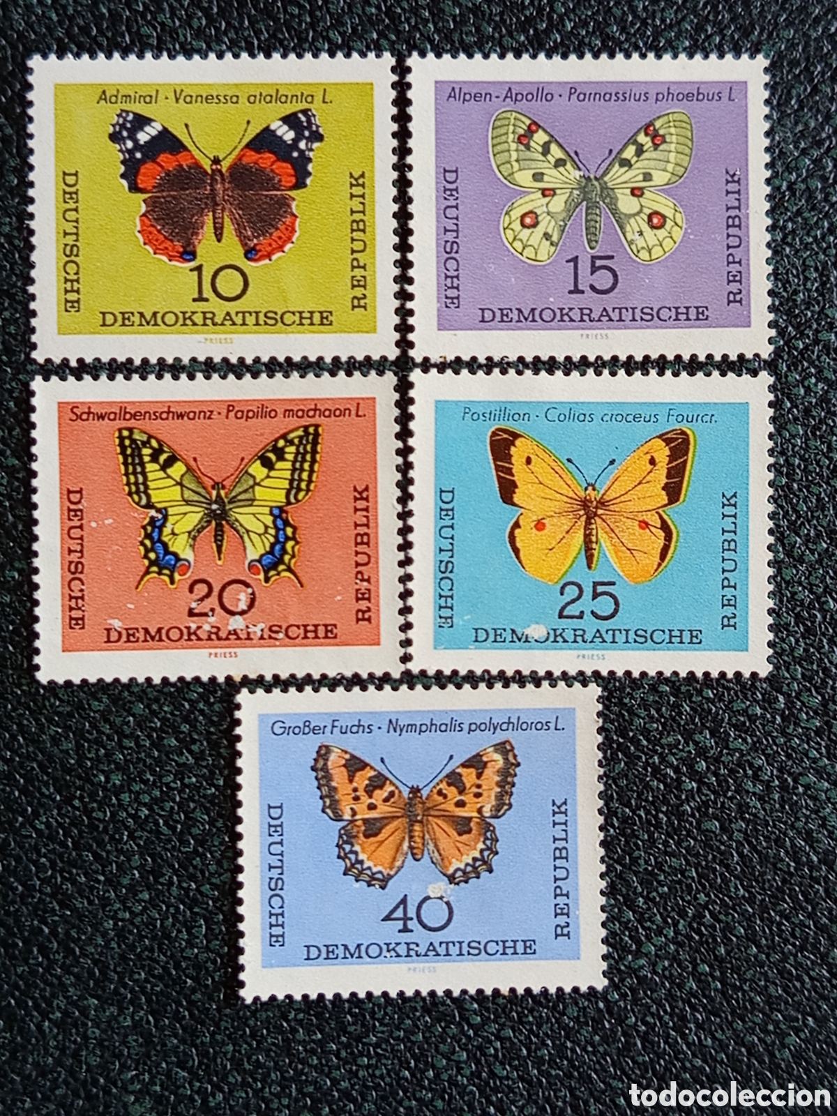 Sellos: Alemania Oriental DDR 1964 Mariposas Yvert 885/889 Serie 5V MH