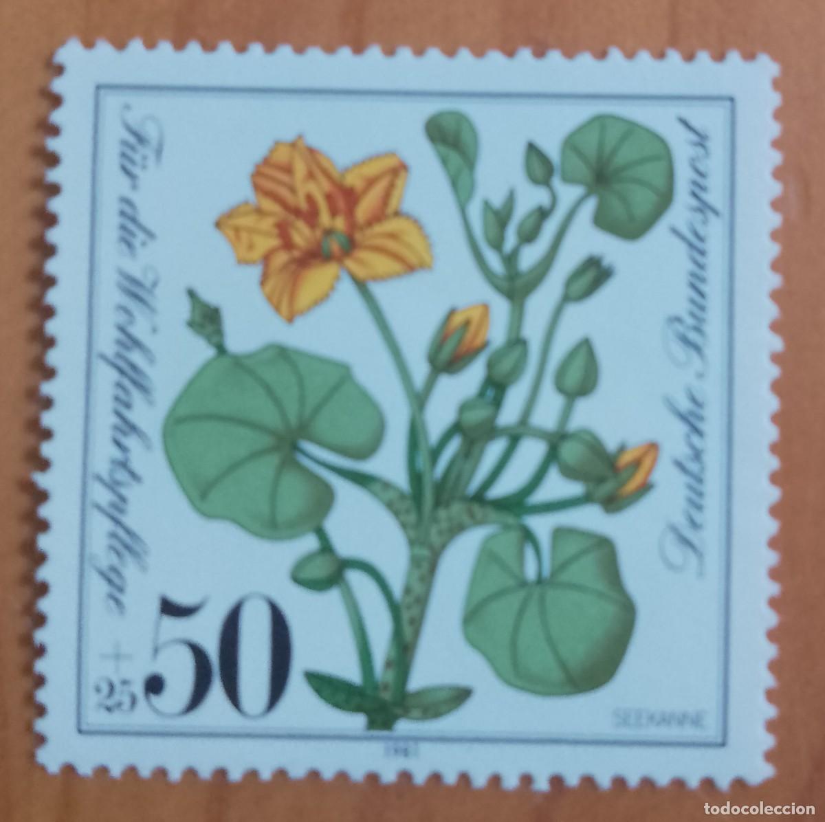 Sellos: ALEMANIA - V/F 25 + 50 - A&Ntilde;O 1981 - FLORA, FLOR, PLANTA - VER DESCRIPCI&Oacute;N