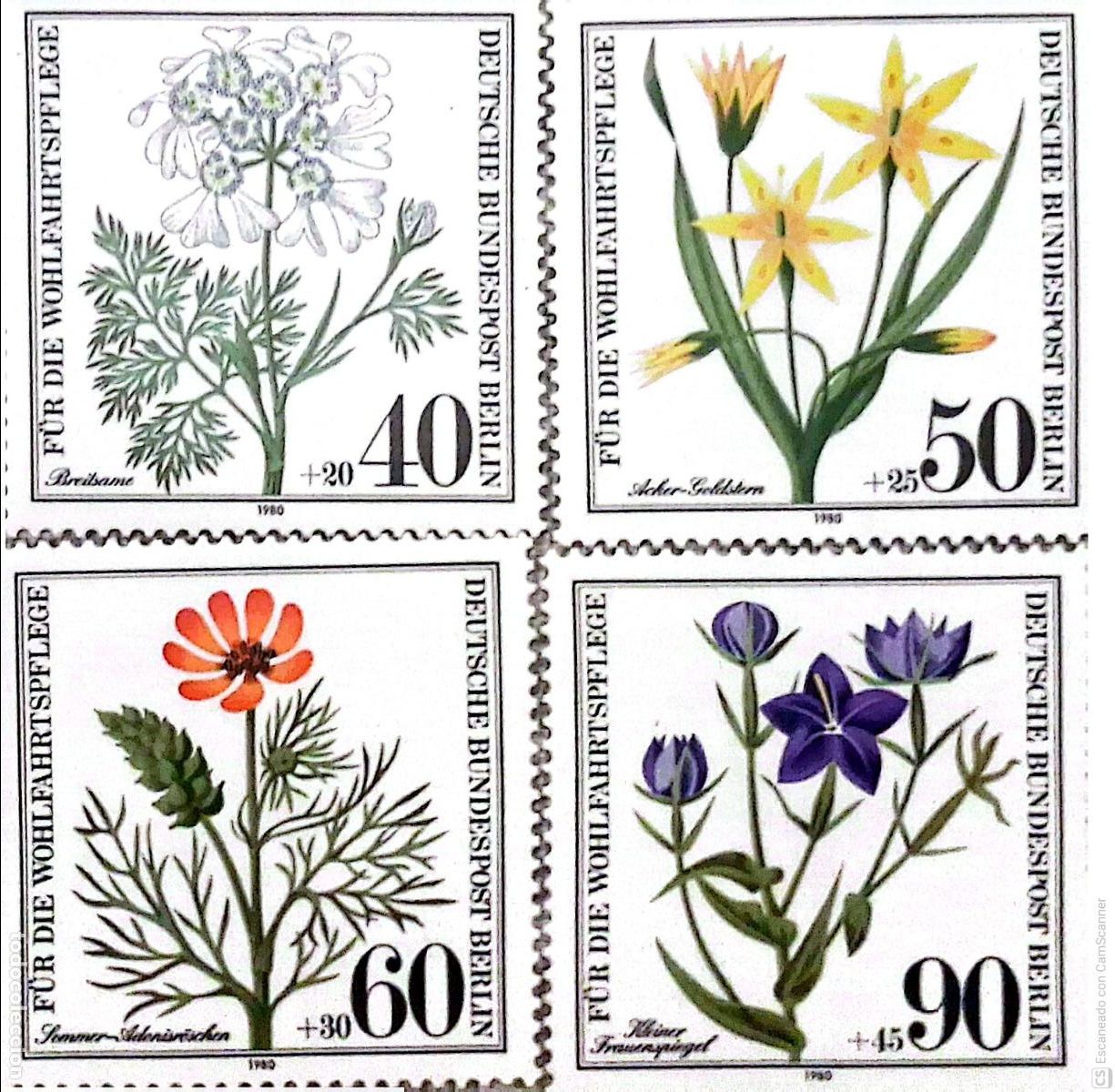 Sellos: Berl&iacute;n. 590/93 Flores: Orlaya, gagea, adonis, legousia. 1980. Sellos nuevos y numeraci&oacute;n Yvert.