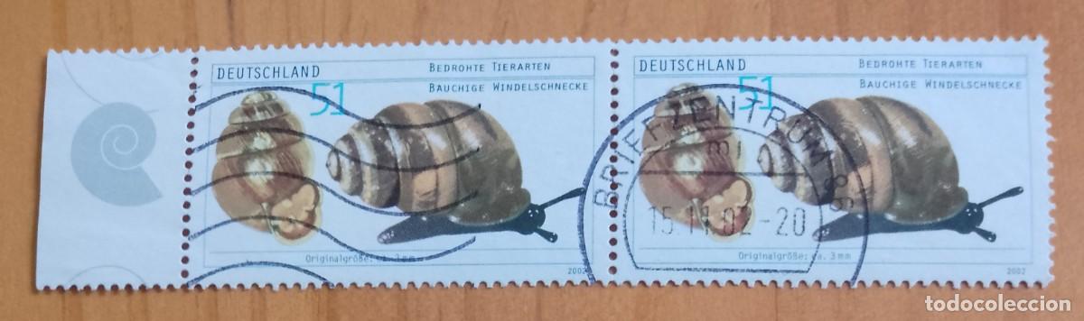 Sellos: ALEMANIA - V/F 51 - A&Ntilde;O 2002 - TIRA 2 SELLOS, ESPECIES EN PELIGRO EXTINCI&Oacute;N - VER DESCRIPCI&Oacute;N