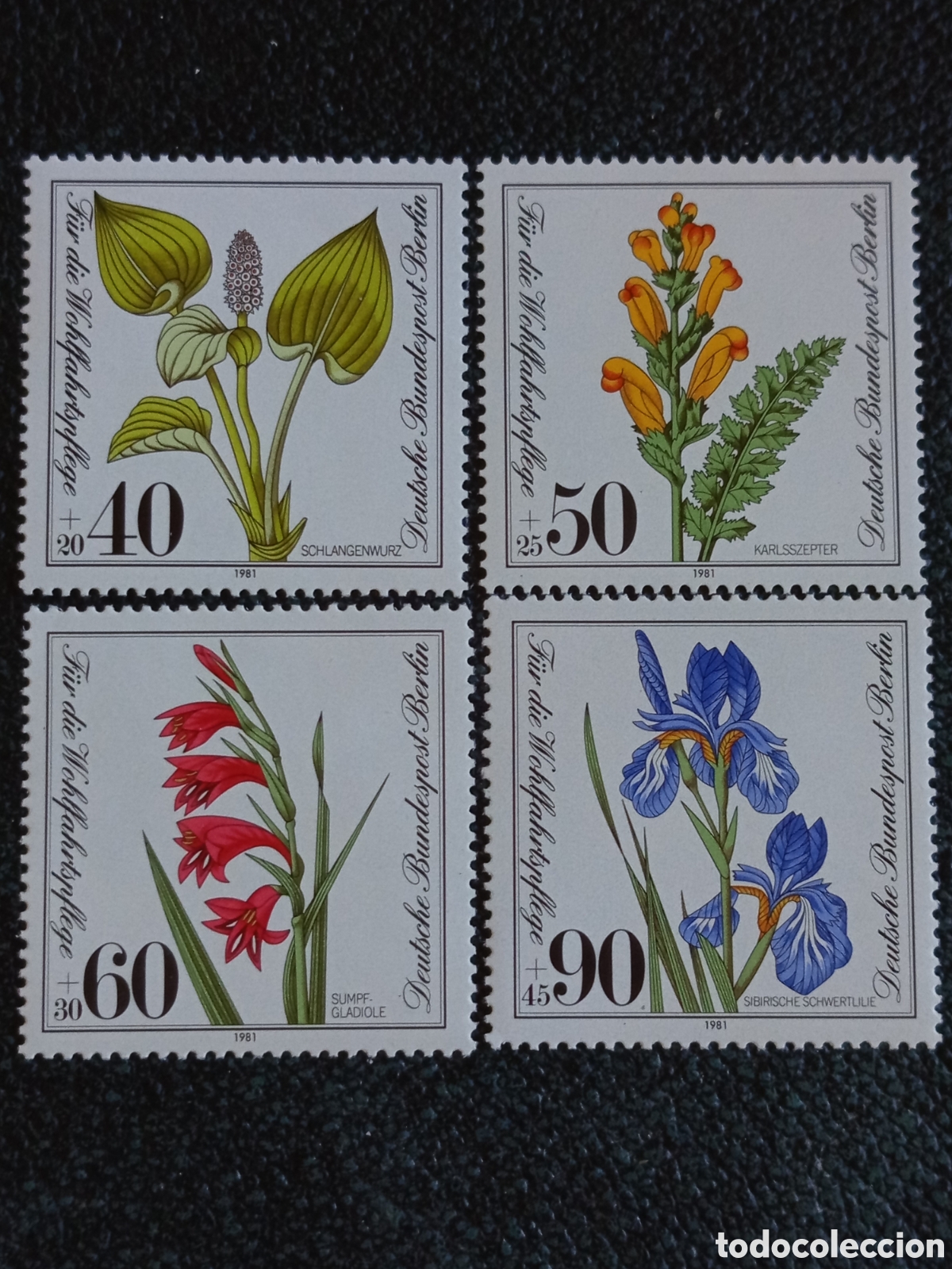 Sellos: Serie Completa Berl&iacute;n 1981 Plantas Flores Michel 650-653 MNH