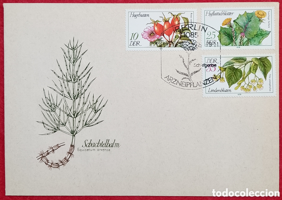 Sellos: Sobre Primer D&iacute;a (FDC) DDR 1978/1979 - Plantas Medicinales (Arzneipflanzen) - Schachtelhalm (Cola
