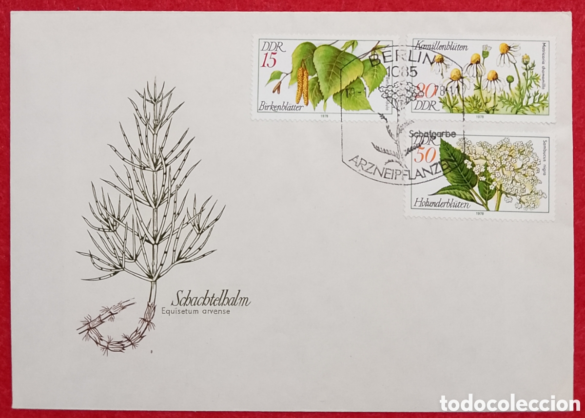 Sellos: Sobre Primer D&iacute;a FDC Alemania RDA 1979 - Plantas Medicinales: Cola de Caballo