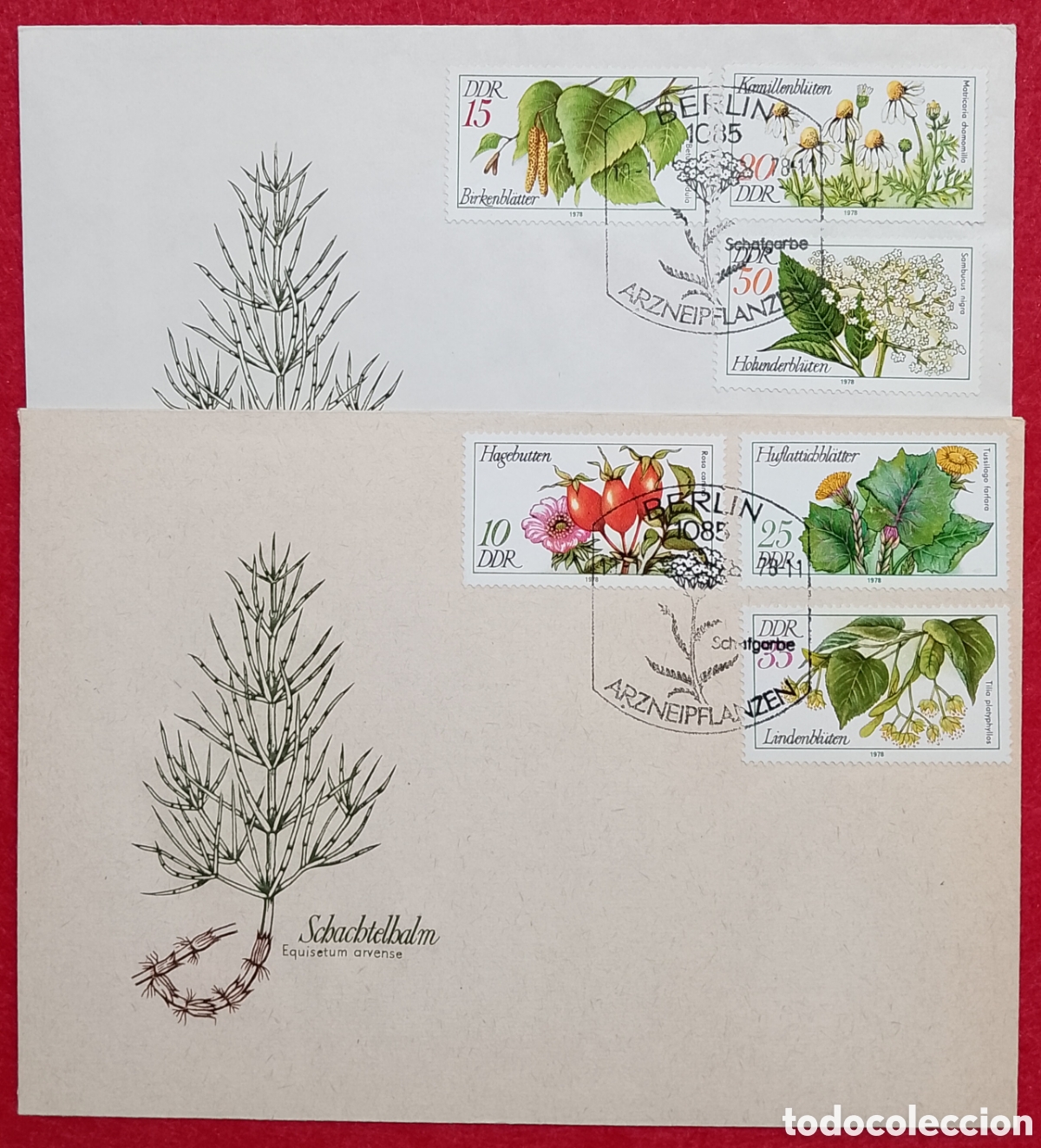 Sellos: Sobre primer d&iacute;a FDC Lote de 2 DDR 1978 Plantas Medicinales (Arzneipflanzen) Serie Completa