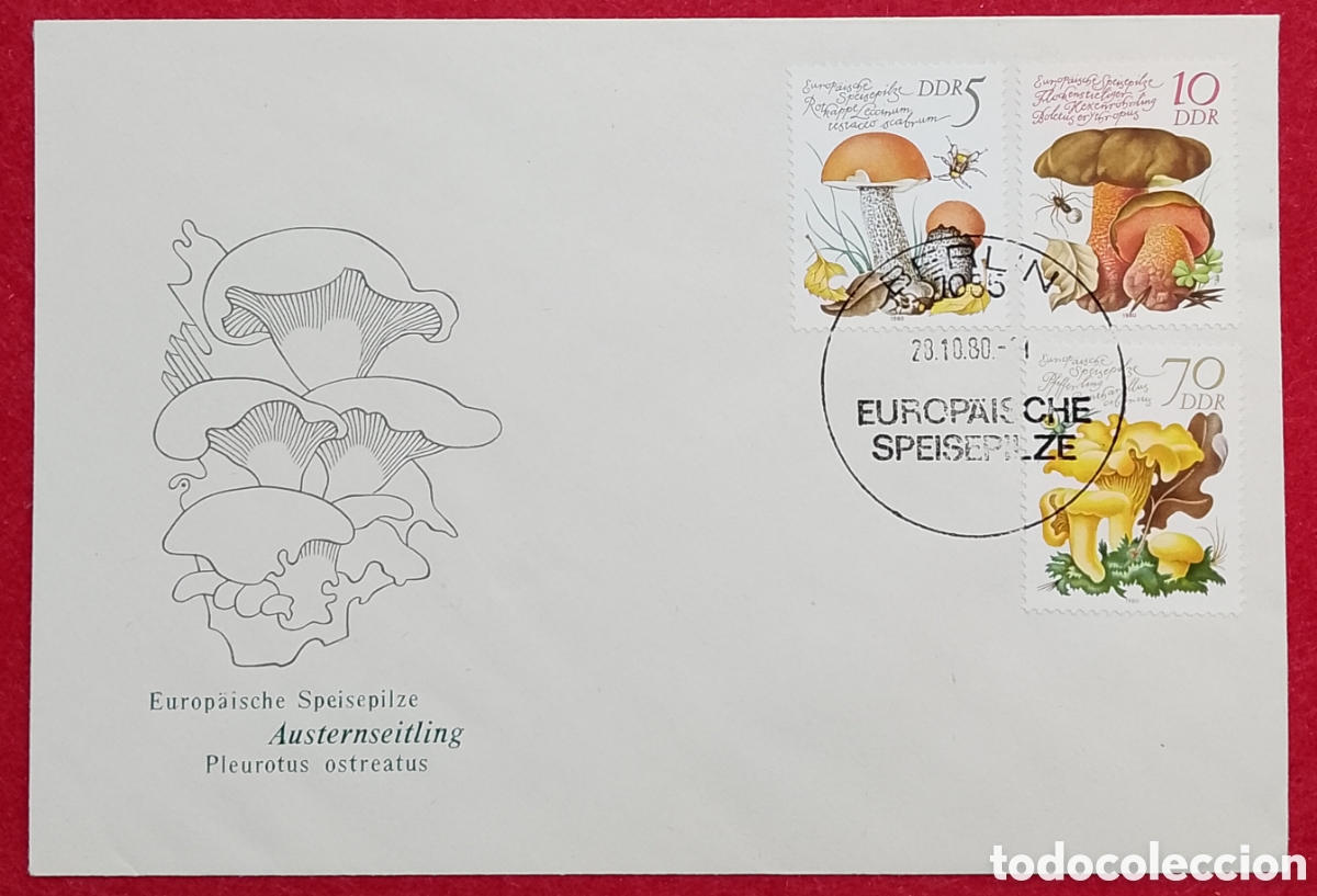 Sellos: Sobre Primer D&iacute;a (FDC) Alemania Oriental DDR 1980 - Setas Comestibles de Europa
