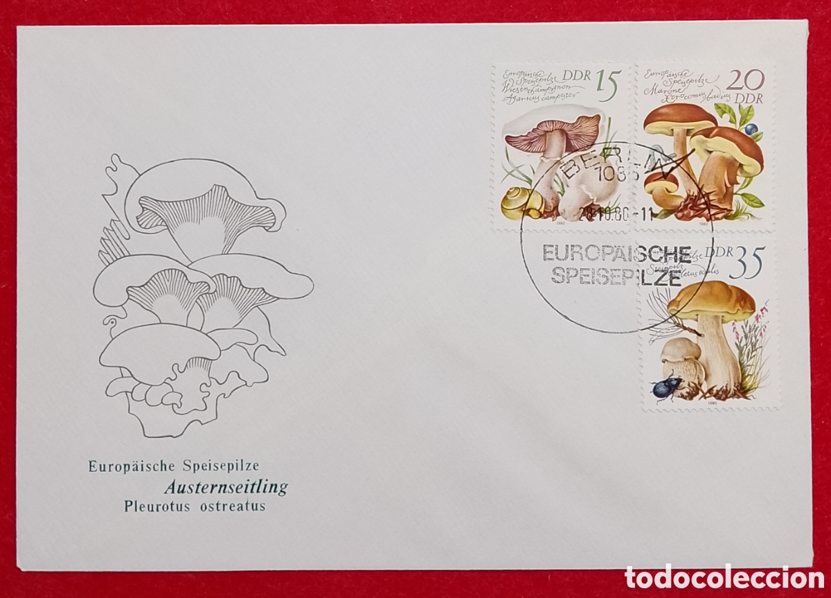 Sellos: Sobre Primer D&iacute;a (FDC) Alemania Oriental DDR 1980 - Setas Comestibles de Europa