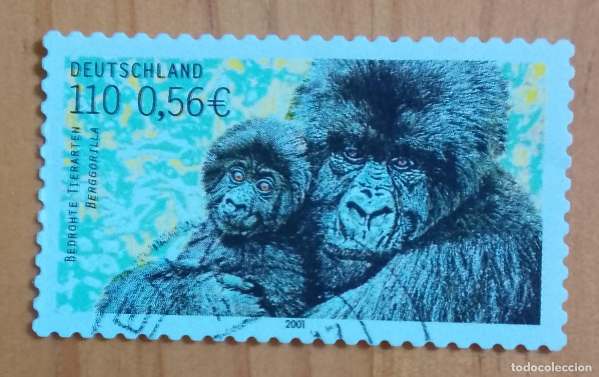 Sellos: ALEMANIA - V/F 110 &Oacute; 0,56 EUROS - A&Ntilde;O 2001 - FAUNA SALVAJE, GORILA DE MONTA&Ntilde;A - VER DESCRIPCI&Oacute;N