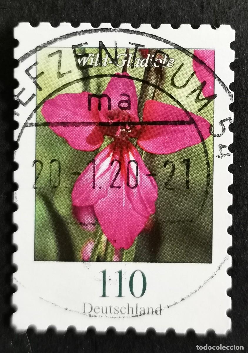 Sellos: Sello Alemania R.Federal 2019, Flores definitivas: Gladiolo silvestre, 110 ct Michel: DE 3489
