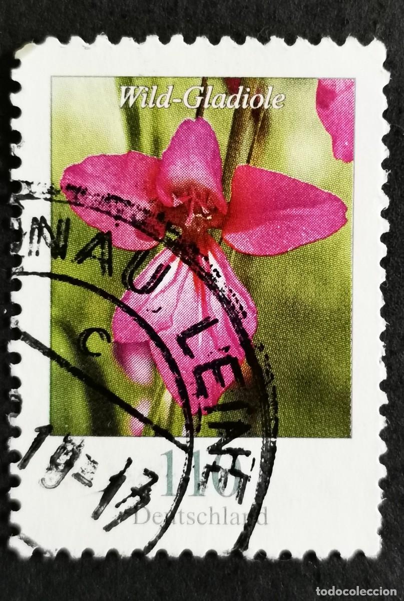 Sellos: Sello Alemania R.Federal 2019, Flores definitivas: Gladiolo silvestre, 110 ct Michel: DE 3471